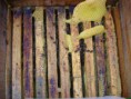 /album/fotogalerie-fotogalerie/trn-16-12-11-1-jpg/